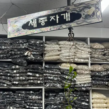 Sejong Jagae, photo 1