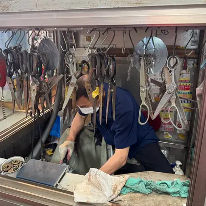 Sharpening Scissors, photo 1
