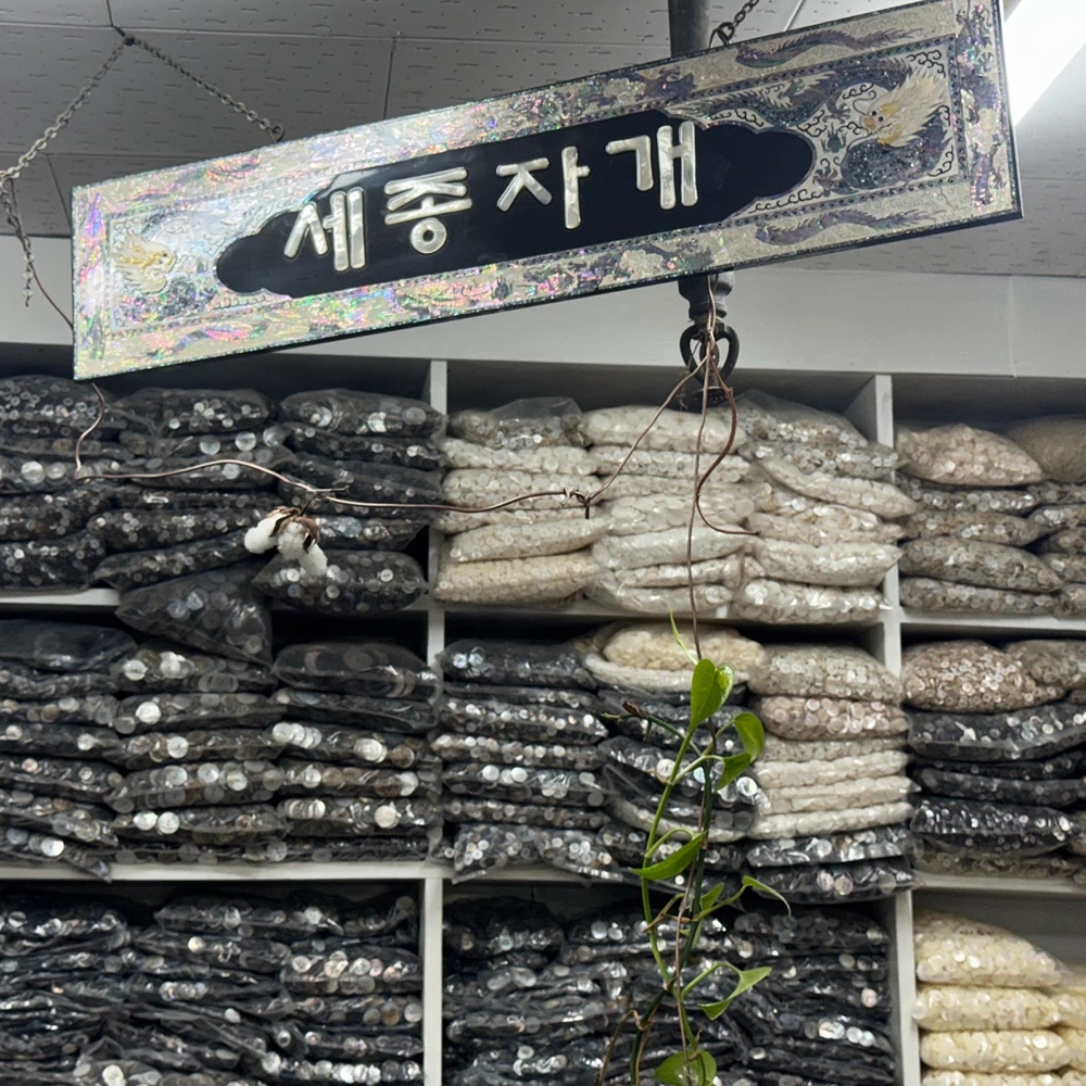 Sejong Jagae, photo 1